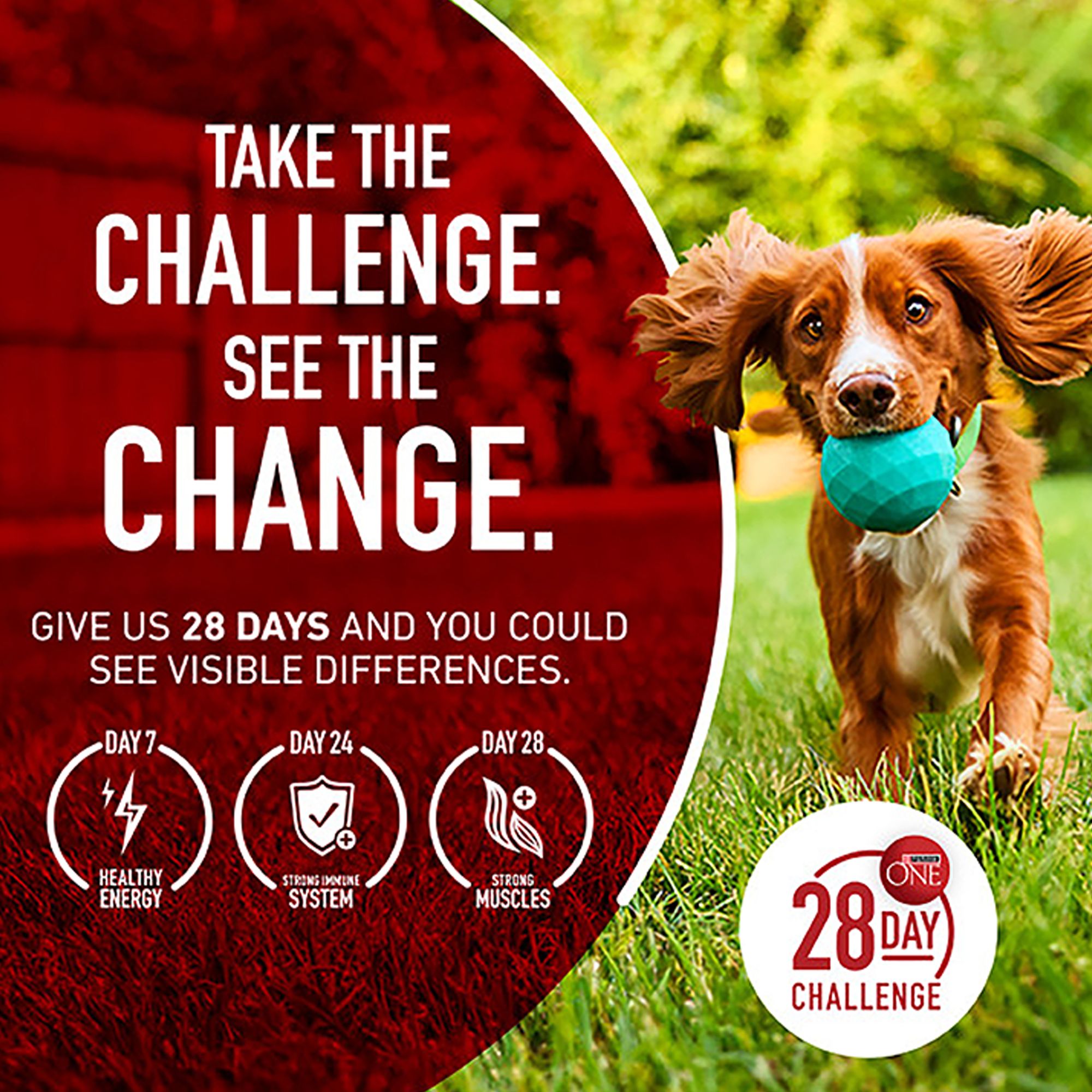 Purina ONE® SmartBlend Everyday Nutrition Adult Dog Wet Food - Natural - Image 4