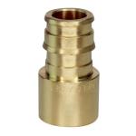 Apollo Pex 1/2" x 1/2" Female Sweat Adapter