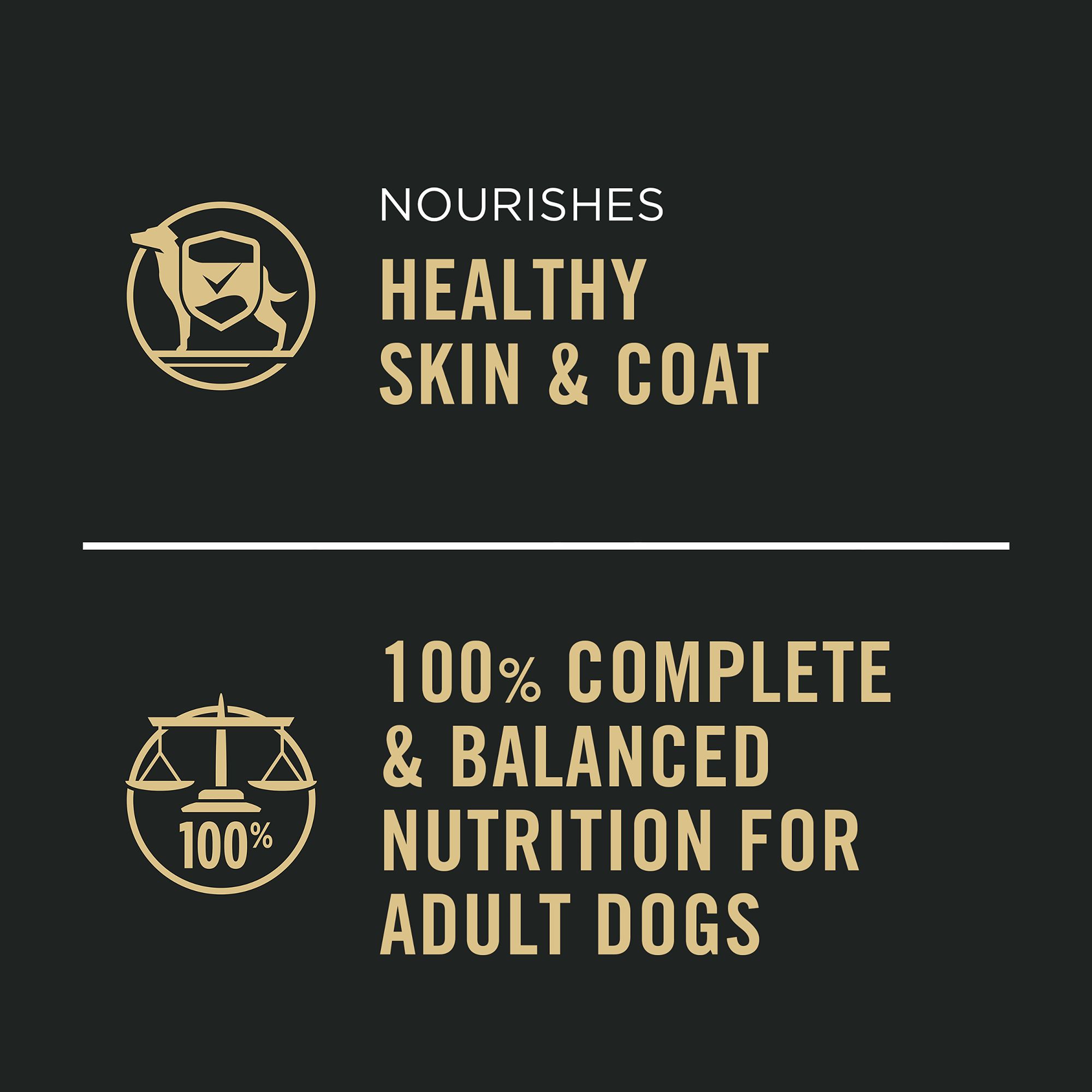 Purina Pro Plan Complete Essentials Wet Dog Food for Adults – Chicken & Rice - Image 4