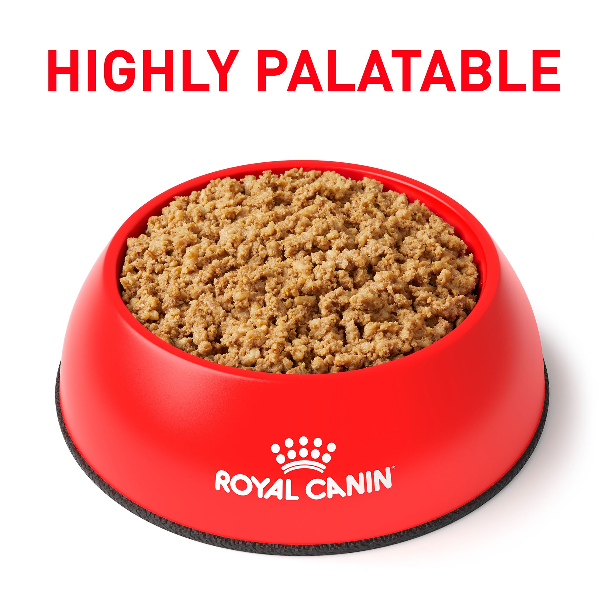 Royal Canin® Veterinary Diet Canine Renal Support T Adult Wet Dog Food Loaf - Image 3