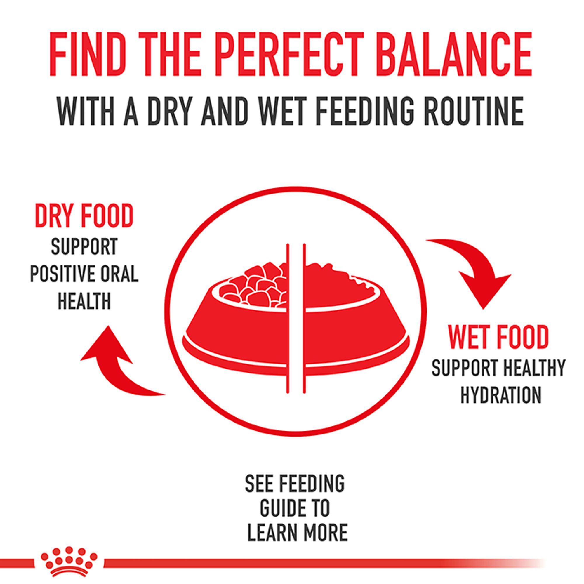 Royal Canin Canine Health Nutrition Adult Wet Dog Food - Image 3