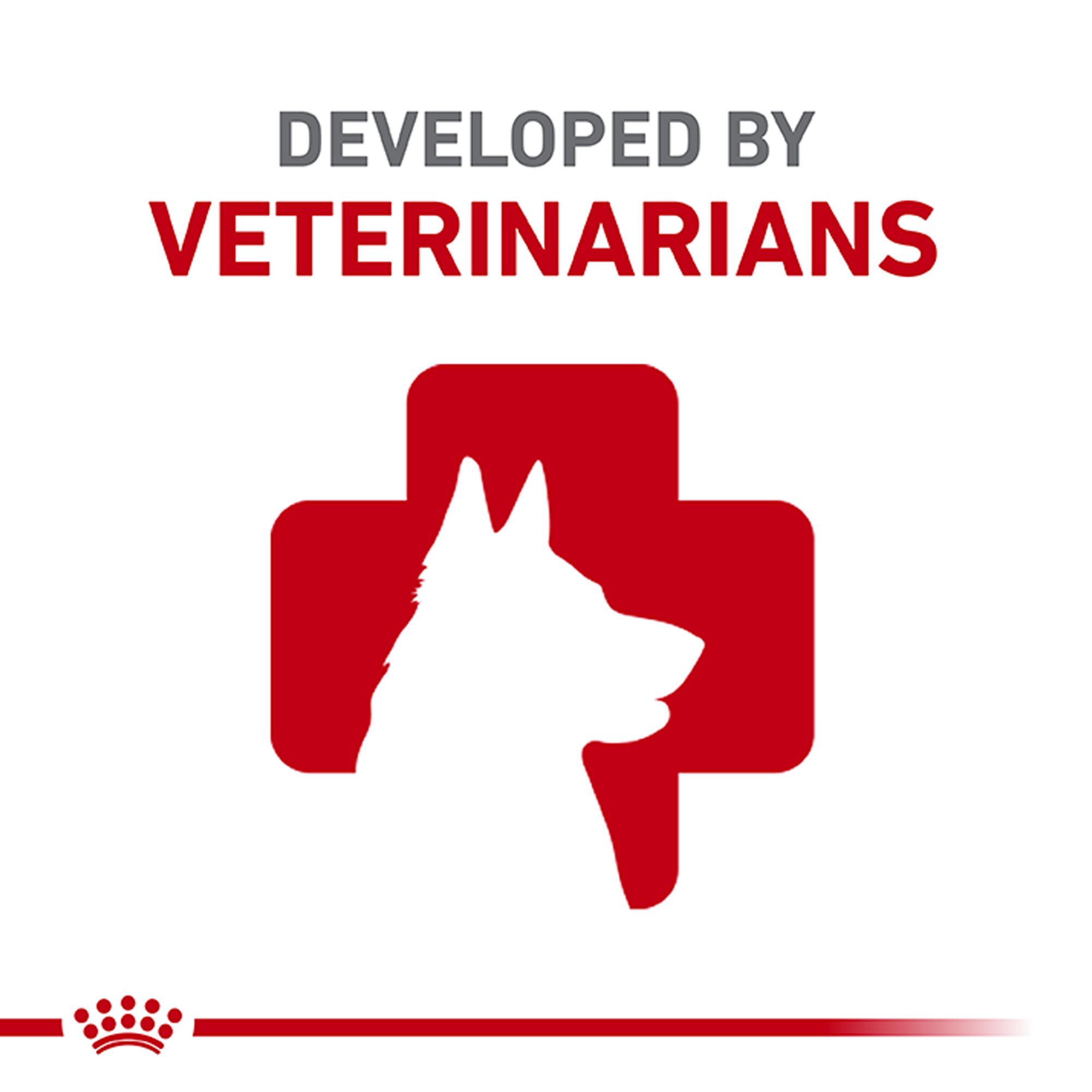 Royal Canin Canine Health Nutrition Adult Wet Dog Food - Image 5