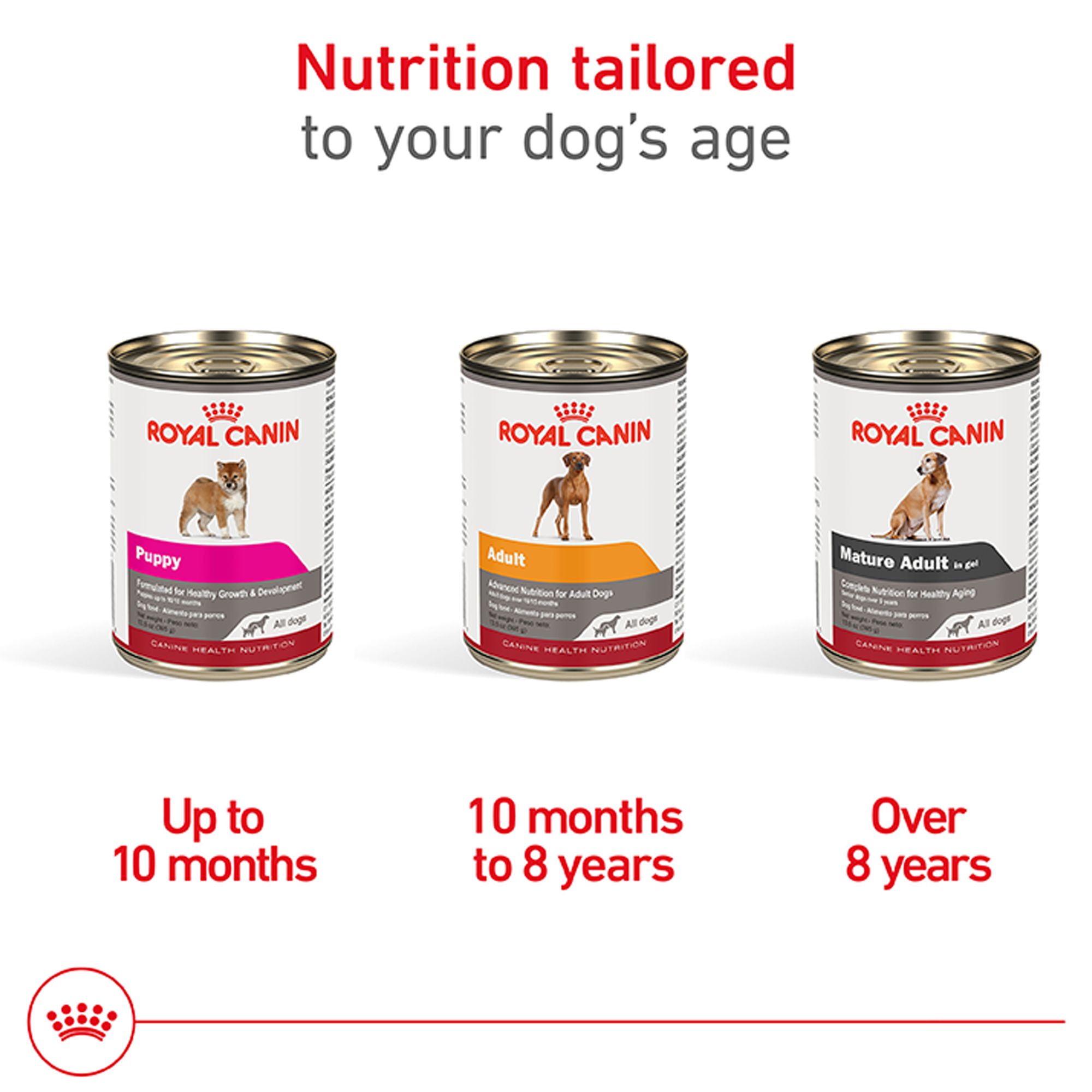 Royal Canin Canine Health Nutrition Adult Wet Dog Food - Image 4