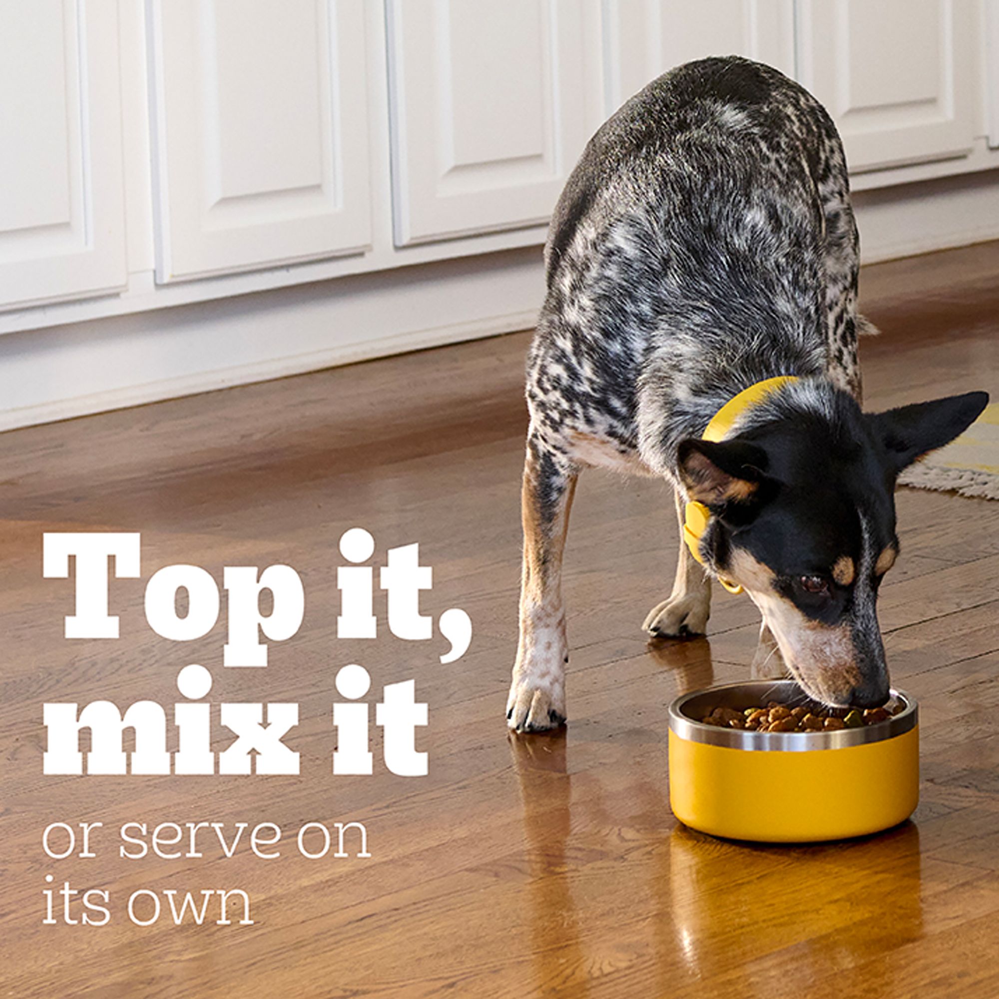 Pedigree Chopped Ground Dinner Weight Management Adult Wet Dog Food - Chicken & Rice, - Image 3
