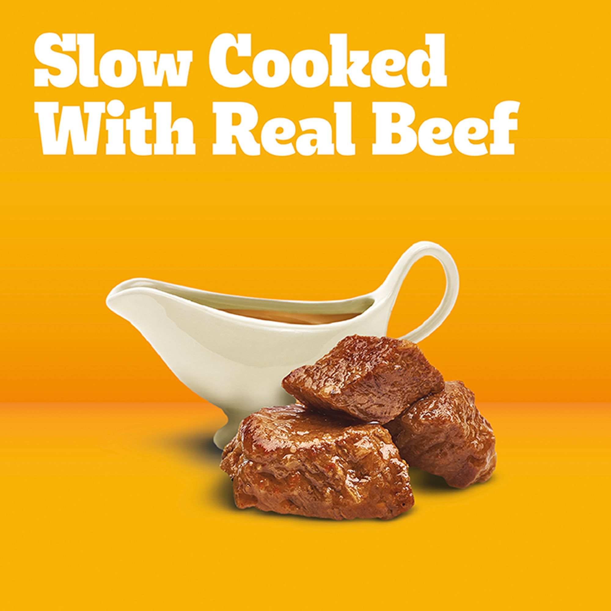 Pedigree® Choice Cuts in Gravy Adult Wet Dog Food - Beef - Image 4