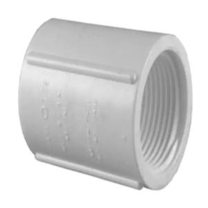 Charlotte 1" Pvc Coupling FPTXFPT