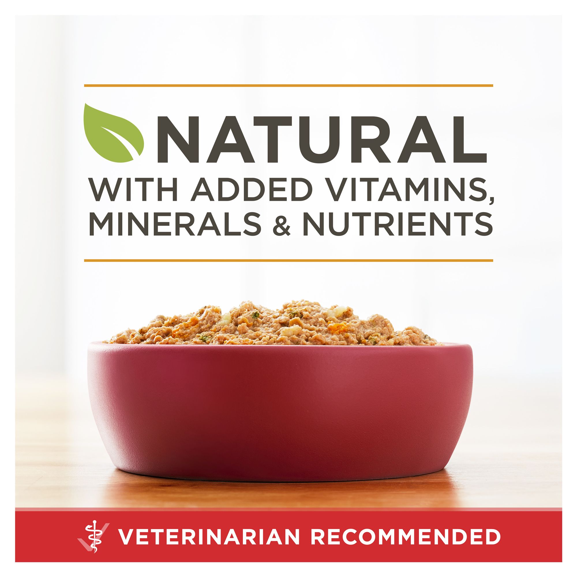 Purina ONE® SmartBlend Everyday Nutrition Adult Dog Wet Food - Natural - Image 3