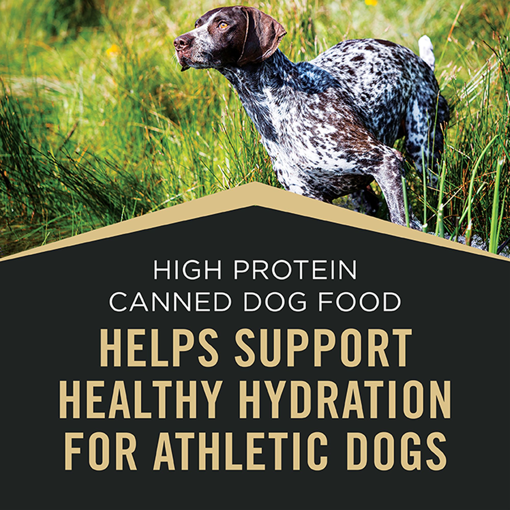 Purina Pro Plan Sport High Protein Adult Wet Dog Food - Beef & Bison, - Image 6