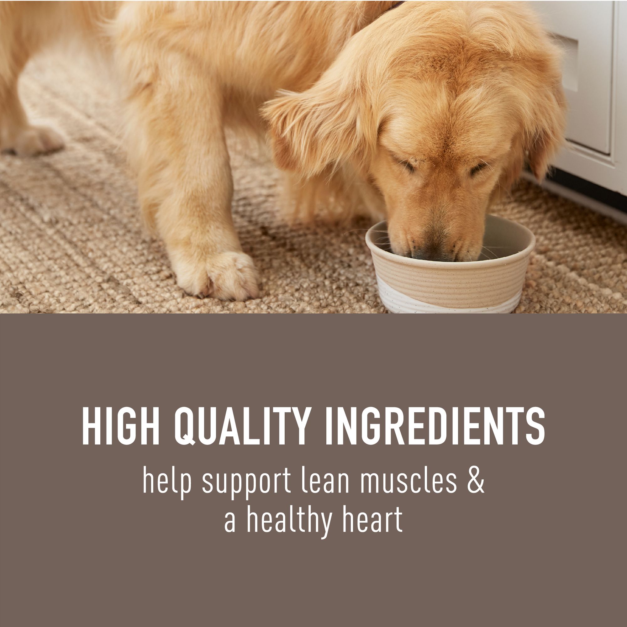 Simply Nourish Original Adult Wet Dog Food - Stew - Image 3