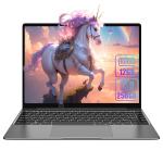 CHUWI GemiBook Pro 14.1" Laptop - Full Metal Design