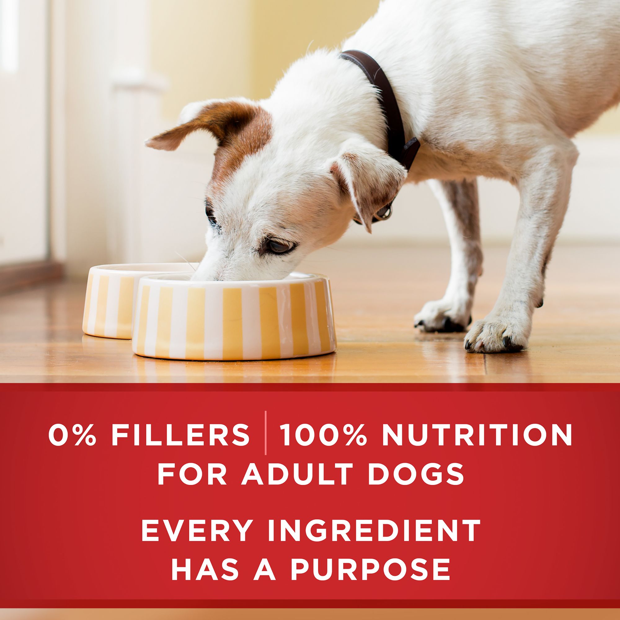 Purina ONE Classic Ground Beef & Brown Rice Entree Wet Dog Food - Image 6