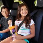 Armor All Car Cleaning Wipes (30-Count) (17497)