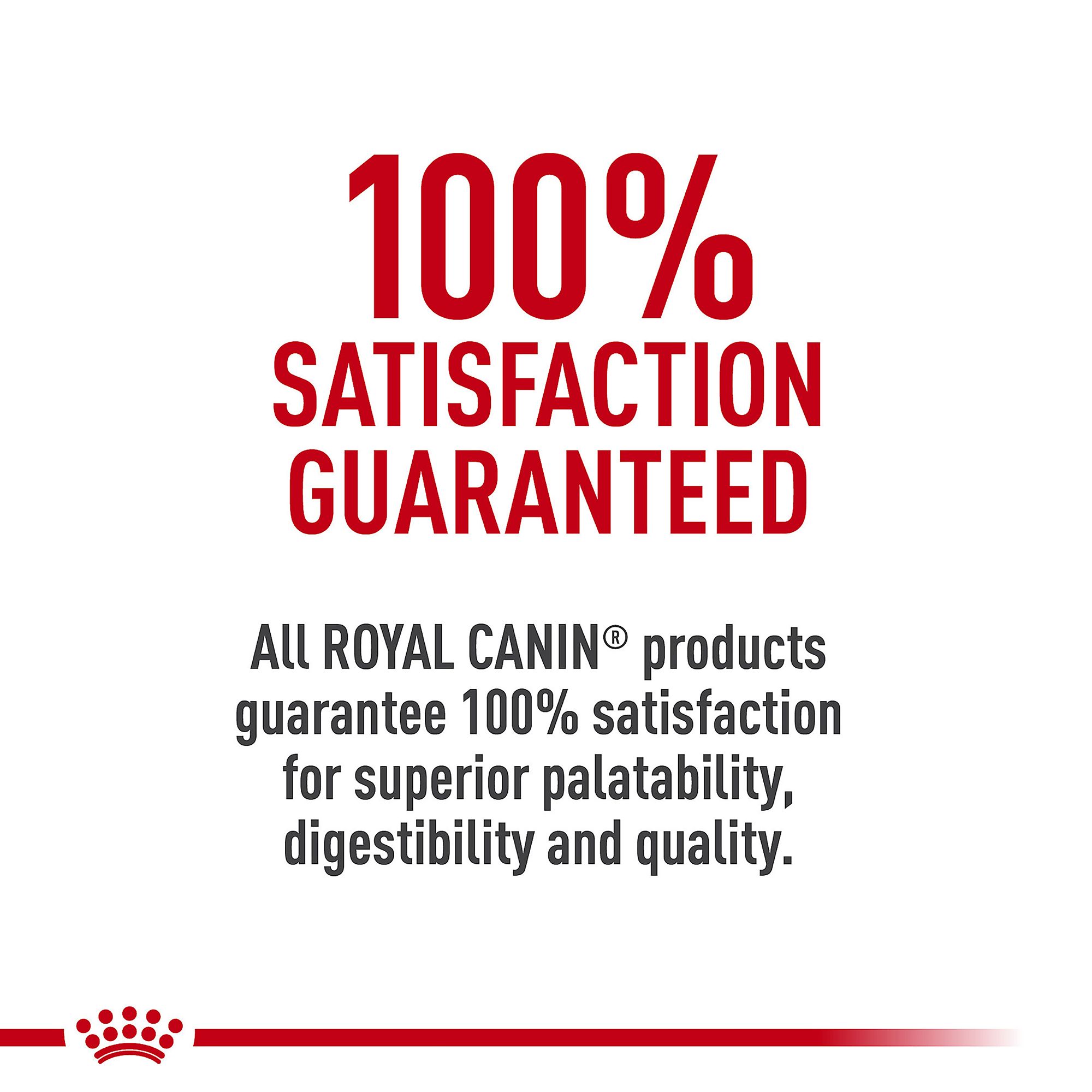 Royal Canin Weight Care Adult Wet Dog Food Pork - Image 8