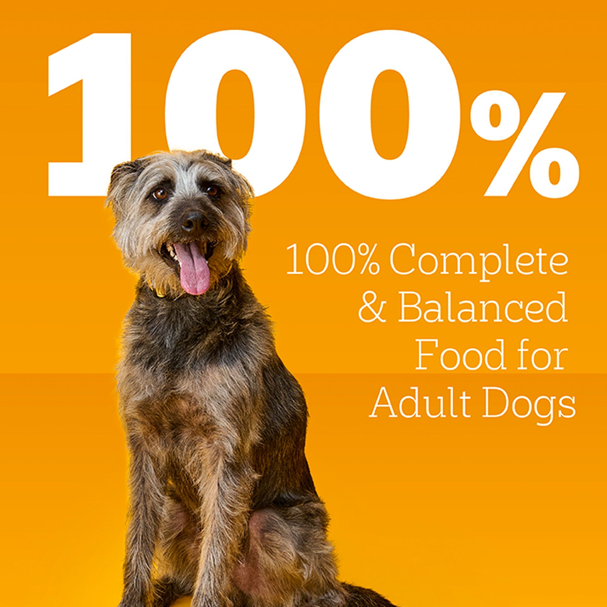 Pedigree Chopped Ground Dinner Adult Wet Dog Food with Chicken - Image 4