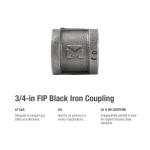 Southland 3/4 in. Black Malleable Iron FPT x FPT Coupling Fitting (521-204HN)