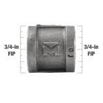 Southland 3/4 in. Black Malleable Iron FPT x FPT Coupling Fitting (521-204HN)