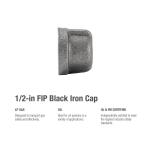 Southland 1/2 in. Black Malleable Iron Cap Fitting (521-403HN)