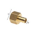 Apollo 1/2 in. Brass PEX-B Barb x 1/2 in. Female Pipe Thread Adapter 5-Pack (APXFA12125PK)