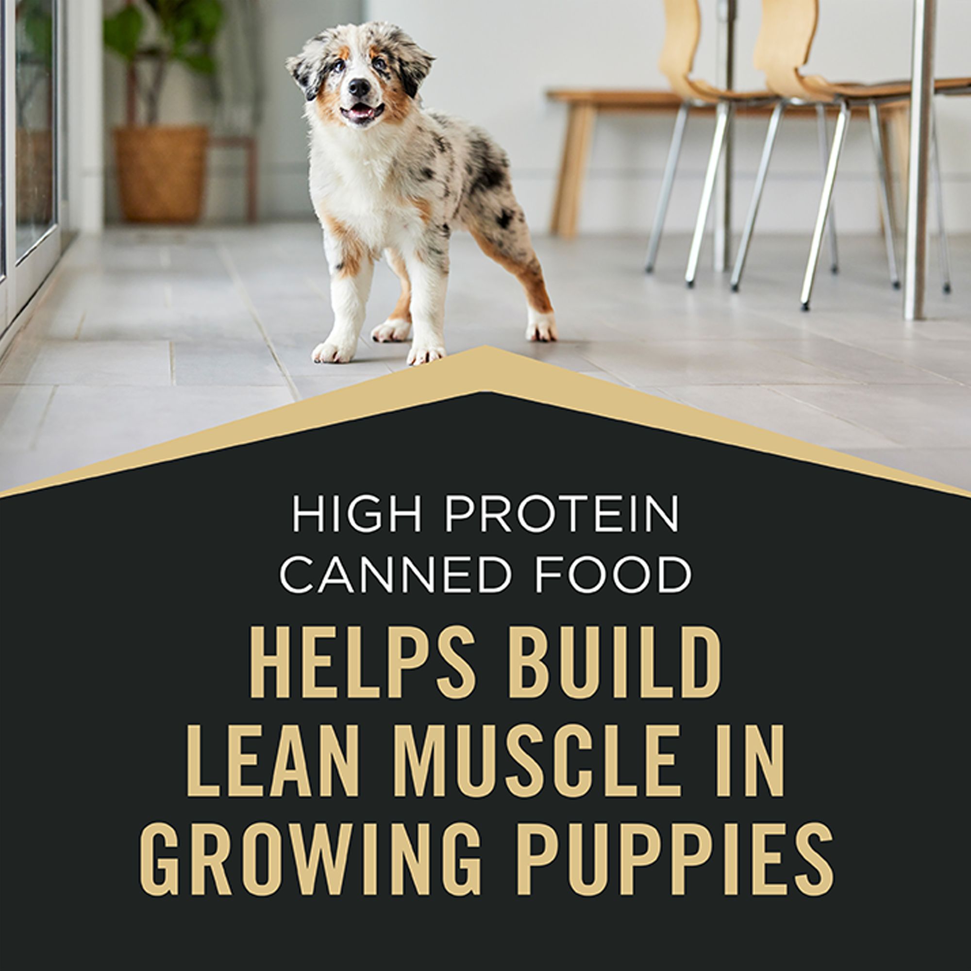 Purina Pro Plan Sport High Protein Puppy Wet Dog Food - Beef & Rice, - Image 6