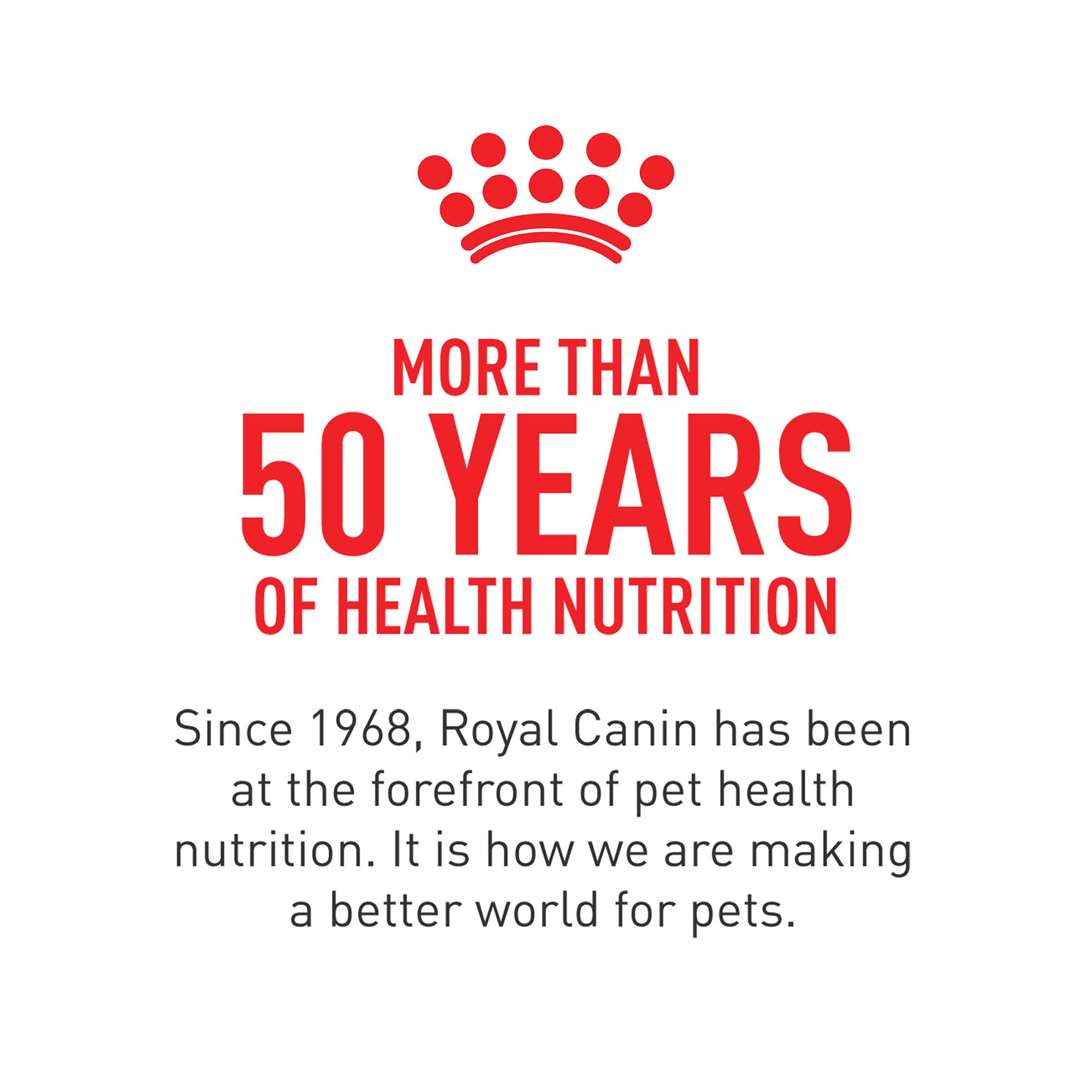 Royal Canin Weight Care Adult Wet Dog Food Pork - Image 7