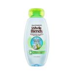 Garnier 12.05oz Whole Blends Shampoo Coconut Water & Aloe Vera