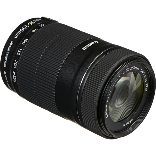 Canon EF-S 55-250mm f/4-5.6 IS STM Lens - Image 4