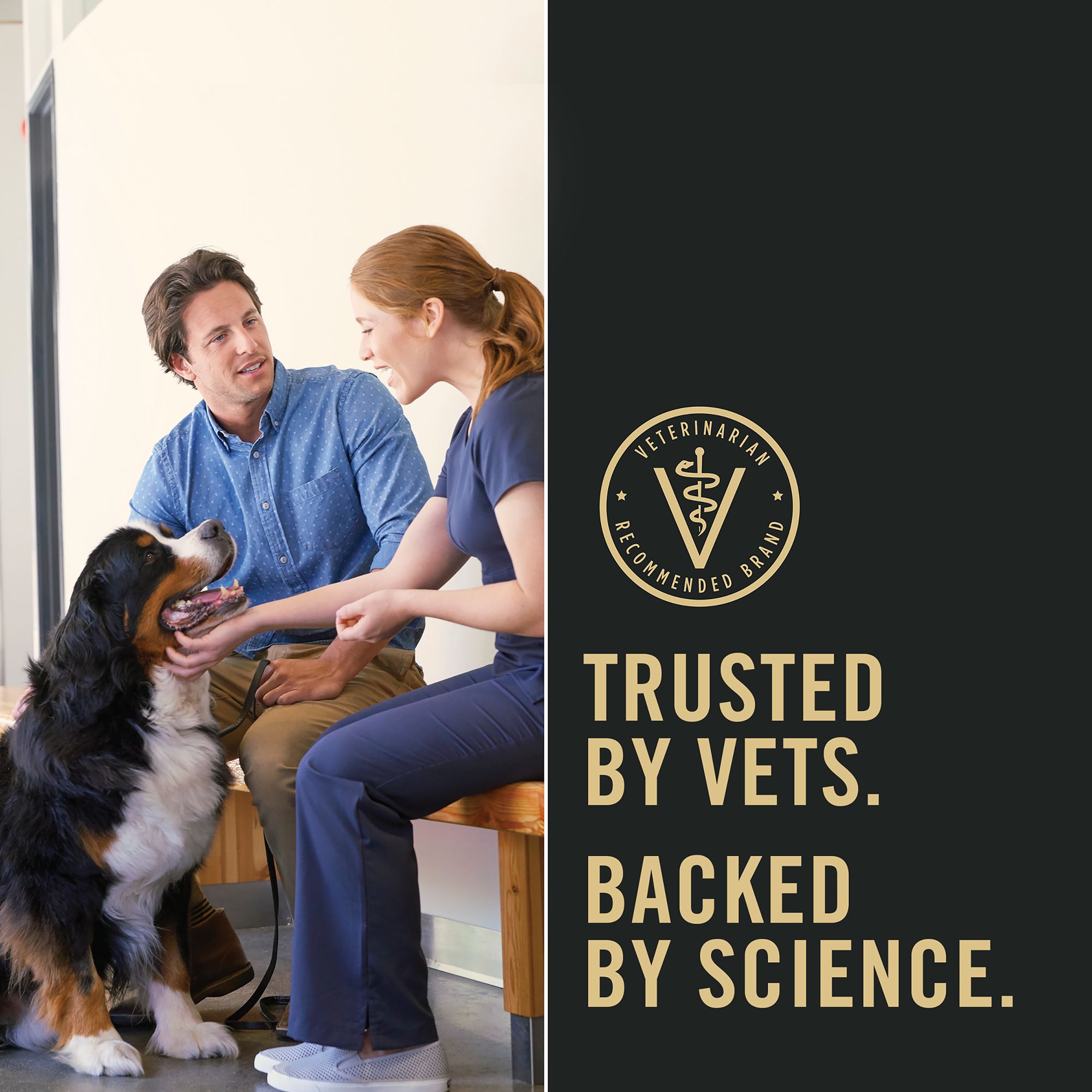 Purina Pro Plan Complete Essentials Grain-Free Adult Wet Dog Food – Turkey & Sweet Potato - Image 8