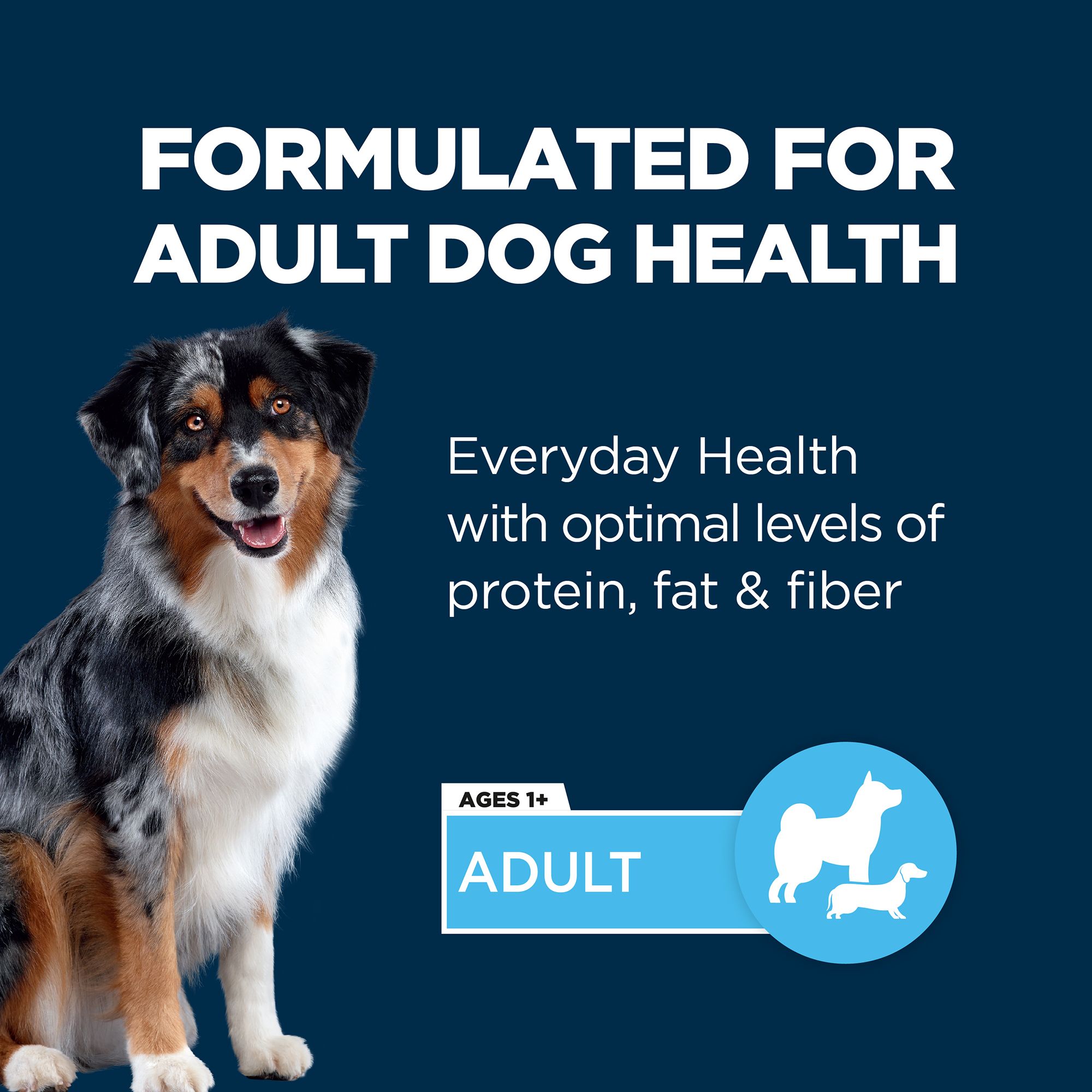 Authority® Everyday Health Adult Wet Dog Food Cuts in Gravy - Image 2