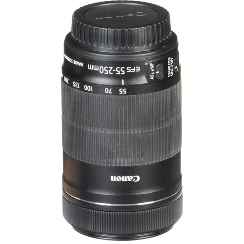 Canon EF-S 55-250mm f/4-5.6 IS STM Lens - Image 11
