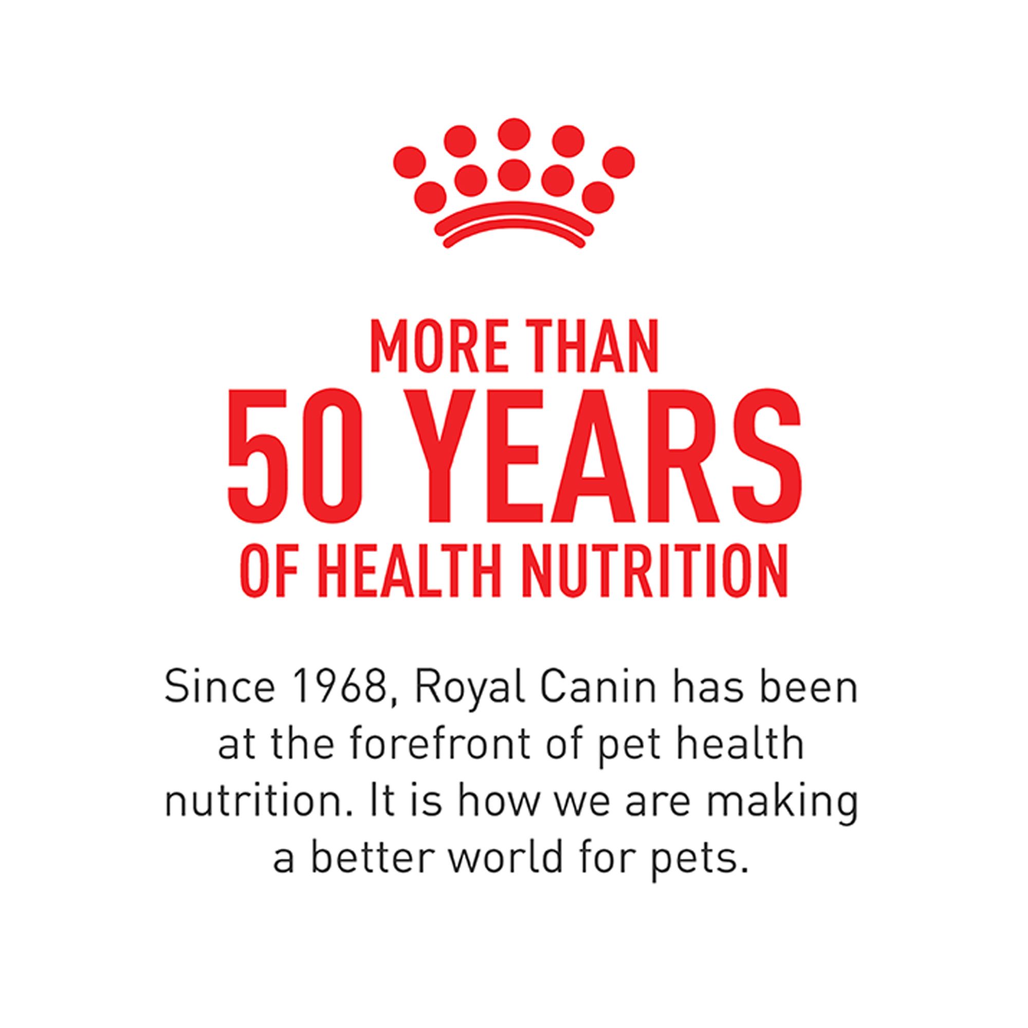 Royal Canin Canine Care Nutrition Adult Wet Dog Food – Digestive Care, Original - Image 6