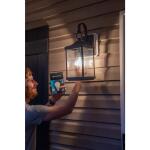 EcoSmart 60-Watt Equivalent A19 Dimmable CEC Dusk to Dawn Clear Glass Filament LED Light Bulb Soft White (11CFA1960WDTD01)