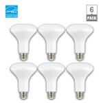 EcoSmart 65-Watt Equivalent BR30 Dimmable LED Light Bulb Daylight (6-Pack) (A20BR3065WESD56)