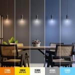 EcoSmart 60-Watt Equivalent A19 Dimmable White Filament CEC Clear Glass E26 Medium Base LED Light Bulb Selectable White 1-Pack (A19605CCTCA/WFIL/ECP)