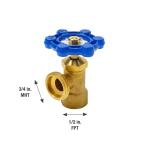 Everbilt 1/2 in. x 3/4 in. FIP x MHT Brass Boiler Drain Valve (102-103EB)