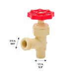 Everbilt 1/2 in. CPVC Solvent-Weld Boiler Drain Valve (102-223HN)