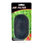 Briggs and Stratton Air Filter 2Pack E500,Ex and Exi Series