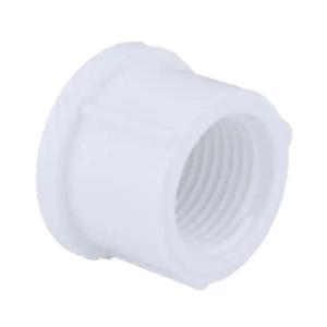 Charlottte 3/4" PVC Cap FPT