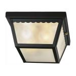 Hampton Bay 2-Light Matte Black Outdoor Flush Mount Light