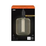 Feit Electric 25-Watt Equivalent Dim Vintage Oversized E26 LED Light Bulb W/ Mesh Cage Acrylic Filament Matte Gold Soft White 1-Pack (CGAYCMG/L/927CA/HDRP)
