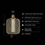Feit Electric 25-Watt Equivalent Dim Vintage Oversized E26 LED Light Bulb W/ Mesh Cage Acrylic Filament Matte Gold Soft White 1-Pack (CGAYCMG/L/927CA/HDRP)