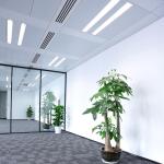 Feit Electric 40-Watt 4 ft. T12 G13 Linear Fluorescent Tube Light Bulb, Cool White 4100K 2-Pack (F40CWX/2)