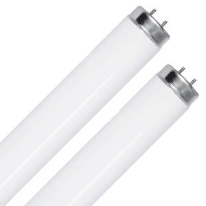 Feit Electric 40-Watt 4 ft. T12 G13 Linear Fluorescent Tube Light Bulb, Cool White 4100K 2-Pack (F40CWX/2)
