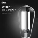Feit Electric 60-Watt Equivalent ST19 Dimmable White Filament Clear Glass E26 Vintage Edison LED light Bulb, Daylight 5000K 4-Pack (ST1960950CAWFILHDRP4)