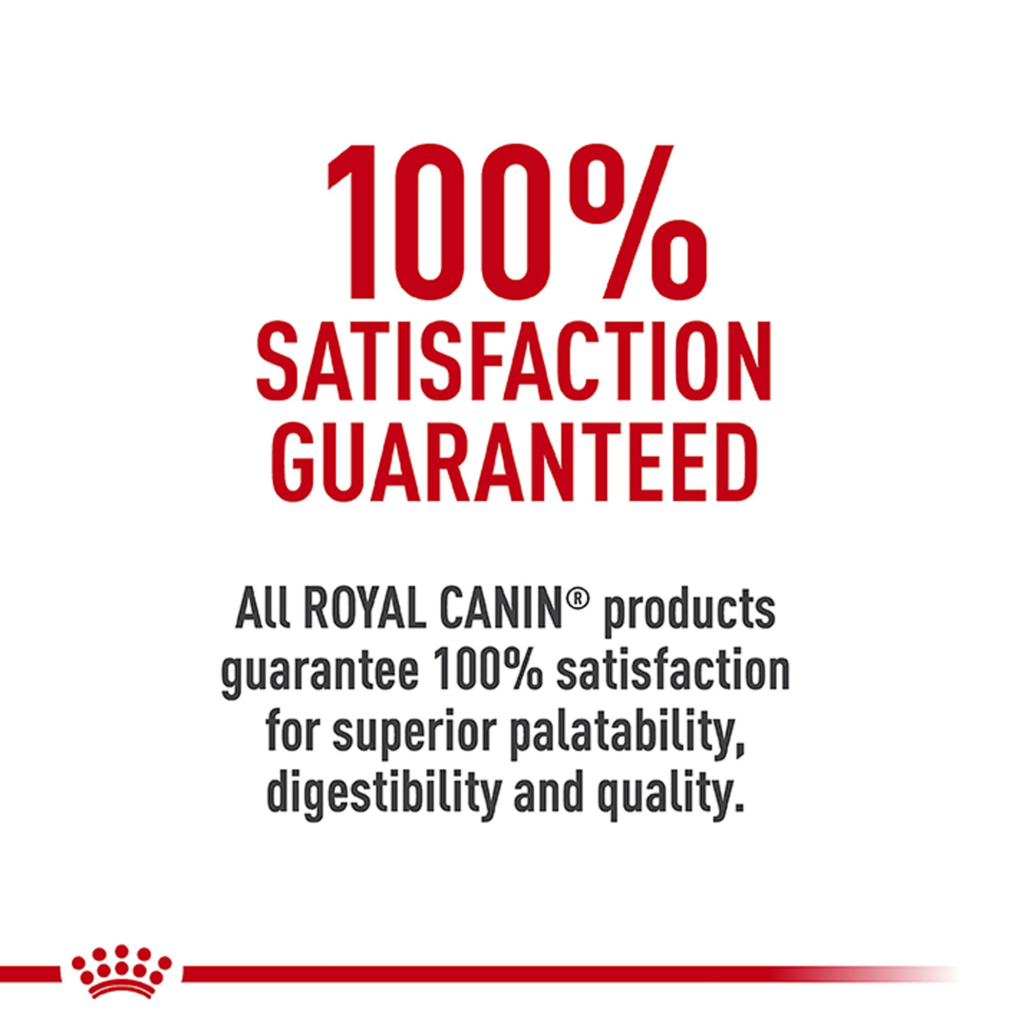 Royal Canin Canine Care Nutrition Adult Wet Dog Food – Digestive Care, Original - Image 7