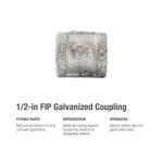 Southland 1/2 in. Galvanized Malleable Iron FPT x FPT Coupling Fitting (511-203HN)