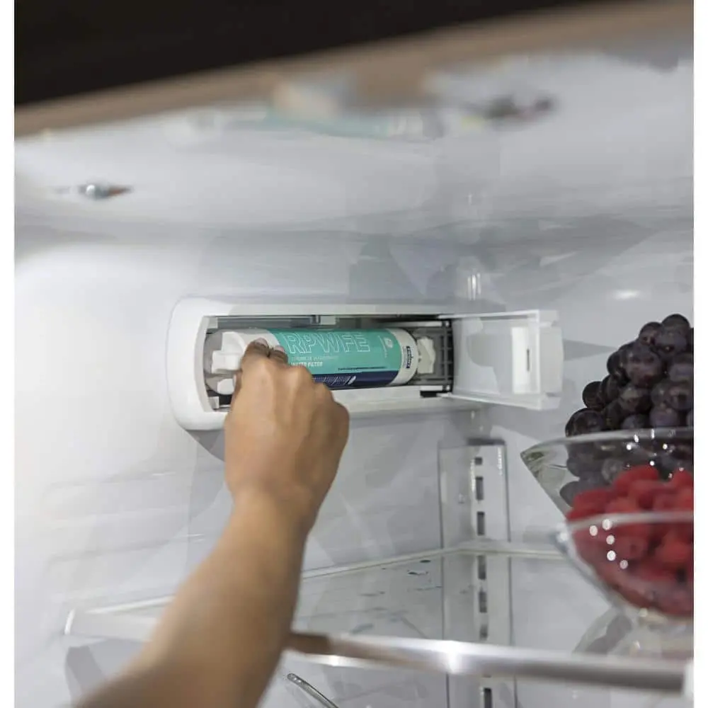 GE Genuine RPWFE Refrigerator Water Filter for GE Appliances (RPWFE)