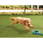 Lifeproof with Petproof Technology Premium Pet Turf 3.75 ft. x 9 ft. Green Artificial Grass Rug (LPPPET3759)