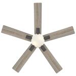 Hampton Bay 52 in. Corwin Indoor/Outdoor Matte Black LED Ceiling Fan with Light Kit (56051)