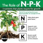 Miracle-Gro Indoor Plant Food Spikes, 24 Spikes, Continuous Feeding for Flowering and Foliage Houseplants, Dry Fertilizer (1002521)