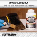 Rust-Oleum 8 oz. Rust Dissolver Jelly (322435)